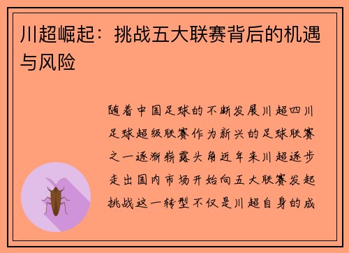川超崛起:挑战五大联赛背后的机遇与风险 川超崛起:挑战五大联赛背后的机遇与风险